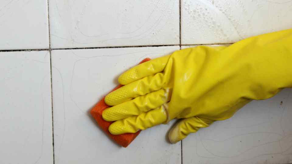 EVESHAM CLEANER